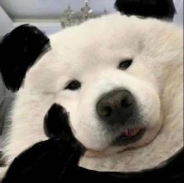 安克雷奇或者说科技点的想法