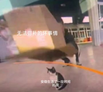 关于最终解法的补充