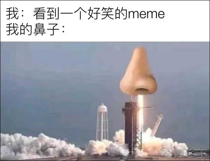 ✨今日份梗图分享第六期✨ 2
