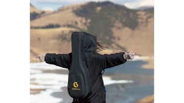 等风等雨梄梧桐