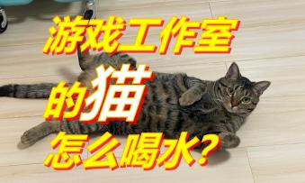 独立游戏开发久了有什么症状？可以问问我们的工作室猫 | 苏醒之路