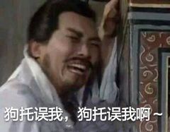 狗托误我，啊，原来狗托是我自己 2