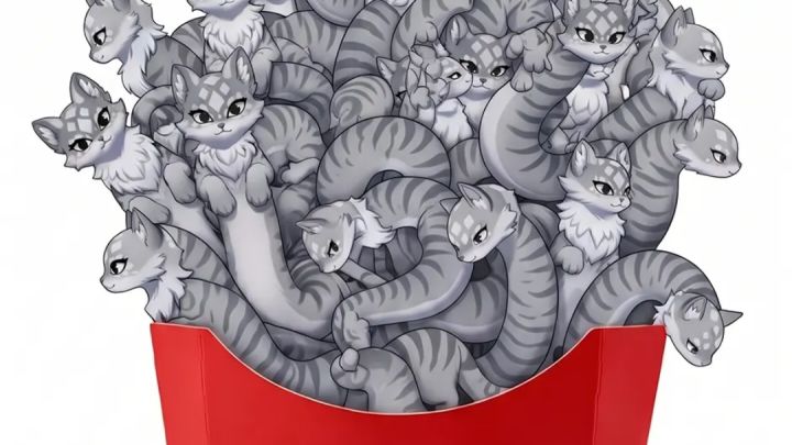 拉斯甘德扭扭薯条截图