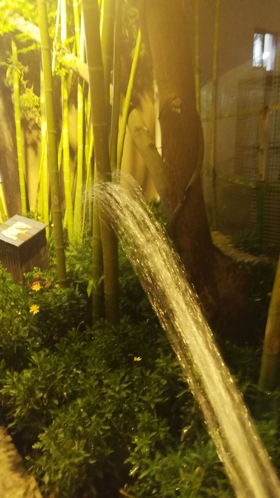 动态图片 5