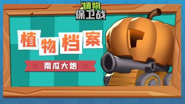 「植物档案」南瓜大炮