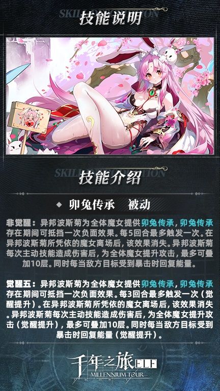 星痕档案「异邦波斯菊」 2
