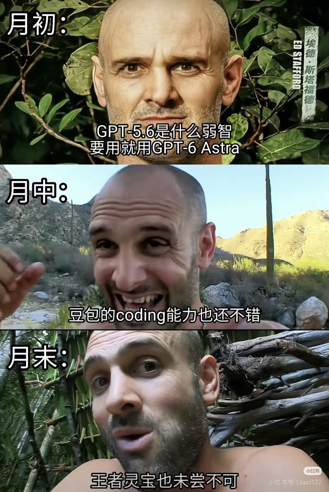 这个阵容很不错 2
