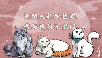 【评论有奖】等等....让大人发猫片这种事情是可以说的吗？-已开奖