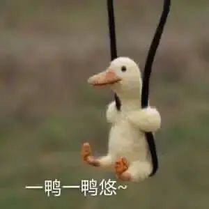 我说已经开了,你们信不截图