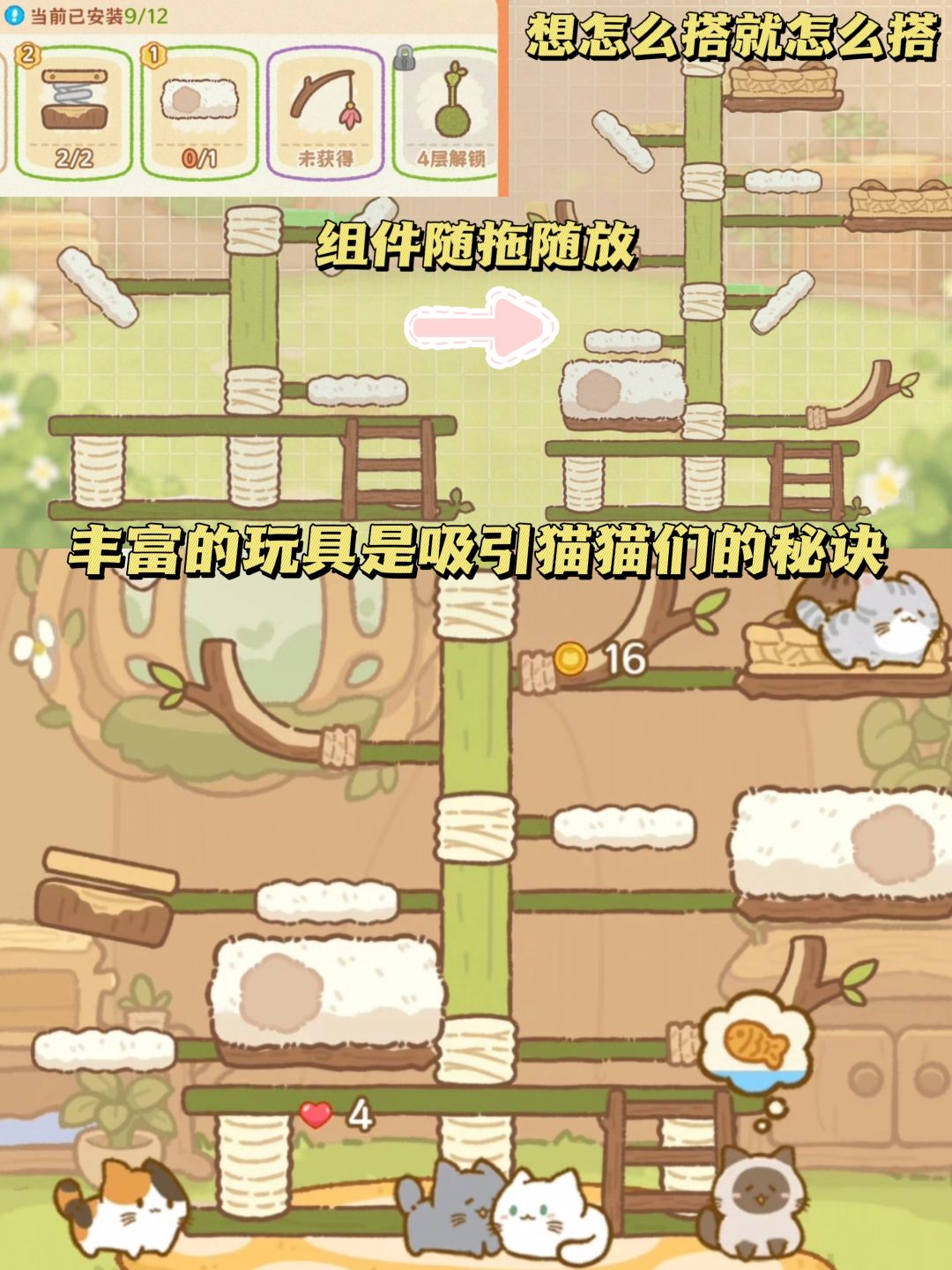 中国咪能飞!有这么可爱的猫你几点回家🐱 2