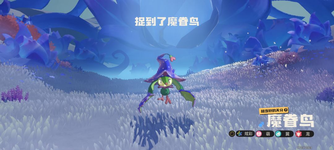 稀兽花种也能出炫彩?真没想到。 1