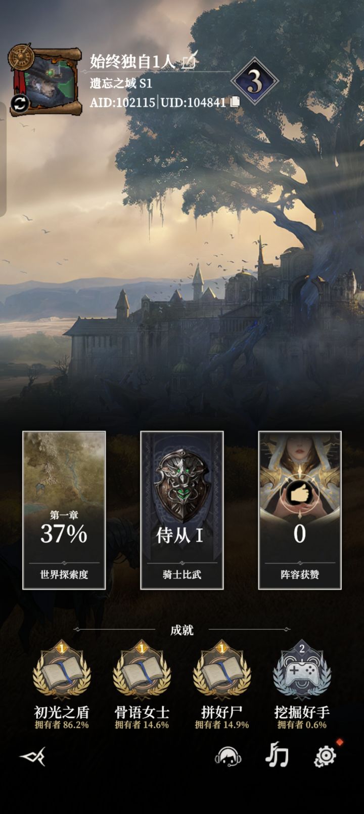 全B阶的英雄?截图
