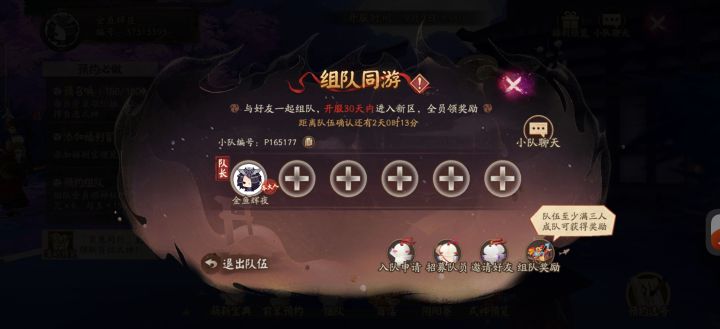 新区组队截图