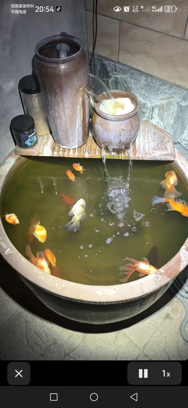 游客睡着了。。截图