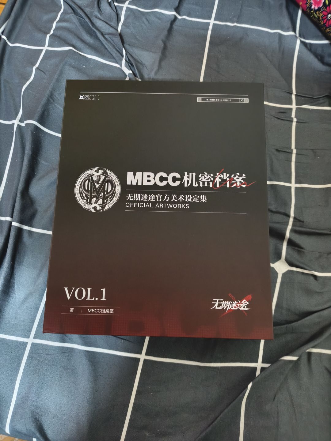 设定集到手 1