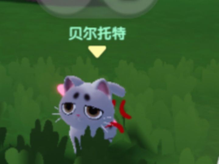 贝尔托特我真的要把你送到宠物阿姨那里进修了！
真不知道一只猫怎么会同时❤️和😠
喂了一年多还没有爱吃的食物
一摸就炸毛
还无法带出门
#心动小镇截图