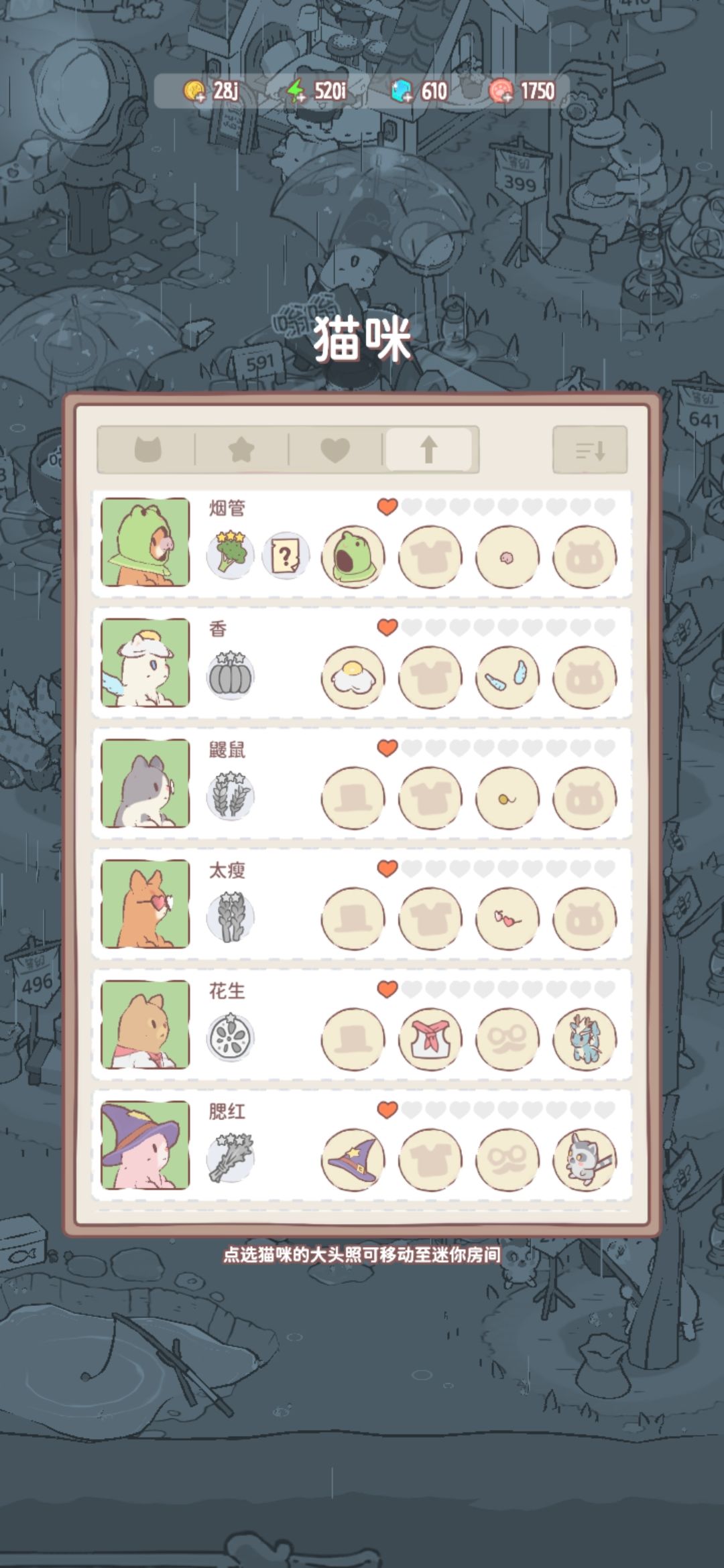 用来记录给猫猫取的名 4