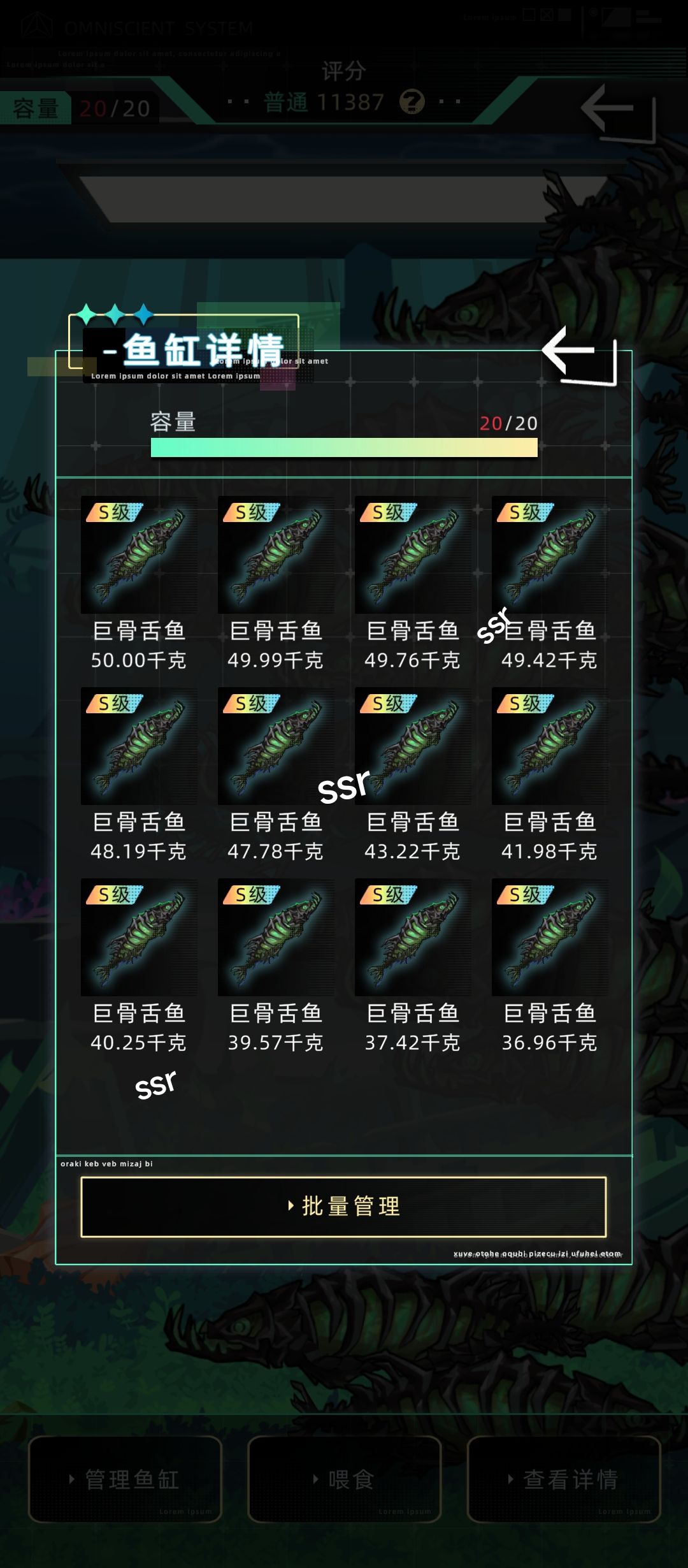 鱼 3