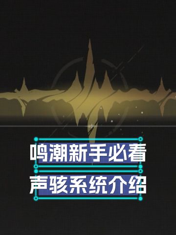鸣潮新手必看——声骇系统介绍