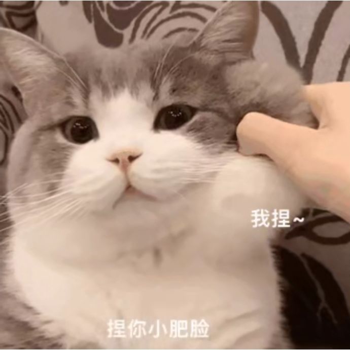 有人一起开荒嘛?一个人玩好无聊 1