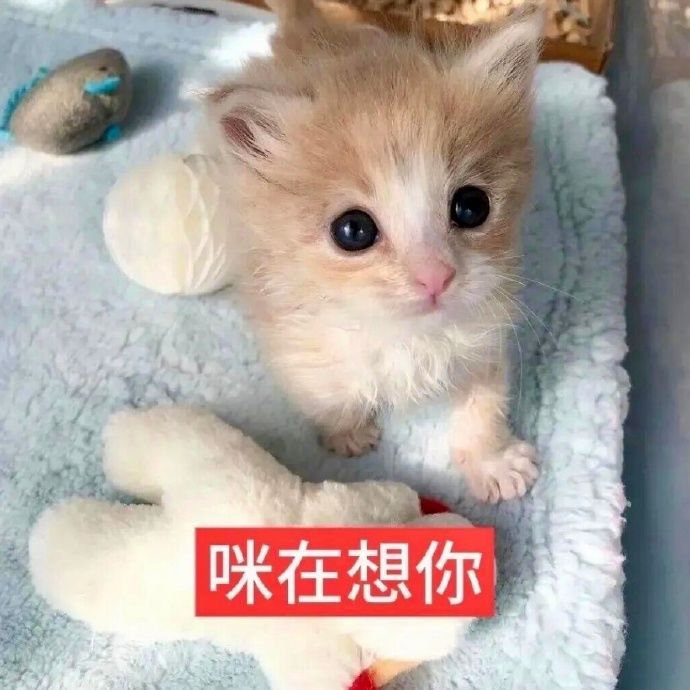 和我一起玩呗 2