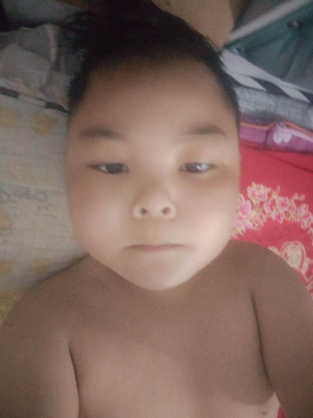 动态图片 18