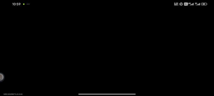 闪退 黑屏截图