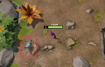 1. 在游戏过程中，会碰见很多在游戏地图上闲逛的小动物，这些小动物没有血条，不会攻击玩家，但是需要时刻关注，这才是初始阶段的金币和经验的主要来源。我们只要跑到小动物边上，一两个巴掌，小动物就“吧唧”了，简单又轻松。
前期努力“欺负”小动物是关键中的关键！！！
2. 前期碰到海岛怪物，一般不轻易挑战，落单的一只可以尝试挑战，超过两只或以上尽早开溜寻找小动物才是王道。当然击败他们的话，能获得不俗的金币