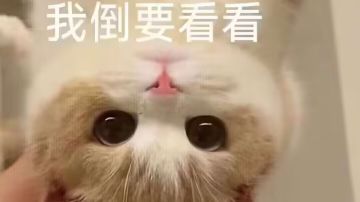 【菜鸟议战】【安洛先战士】烈马战世界攻略（对群魂珠）