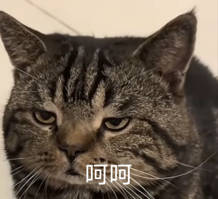 联动卡池保底互通吗？截图