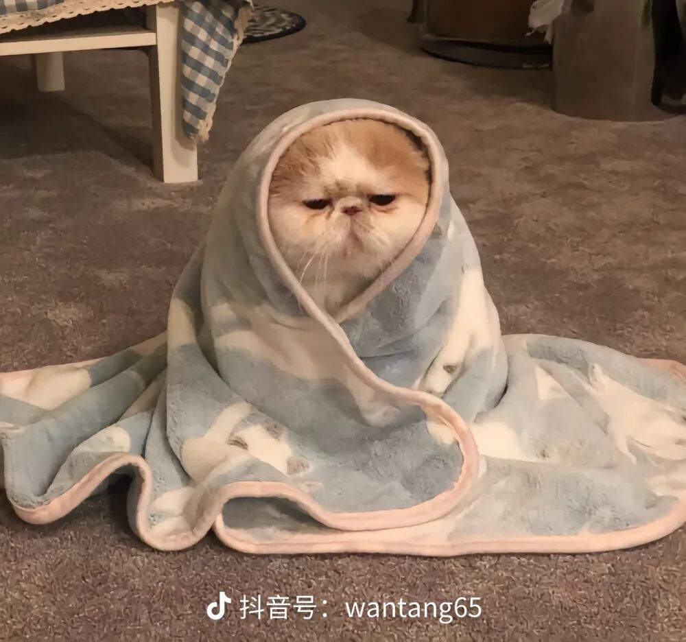 填码的十连全金 1