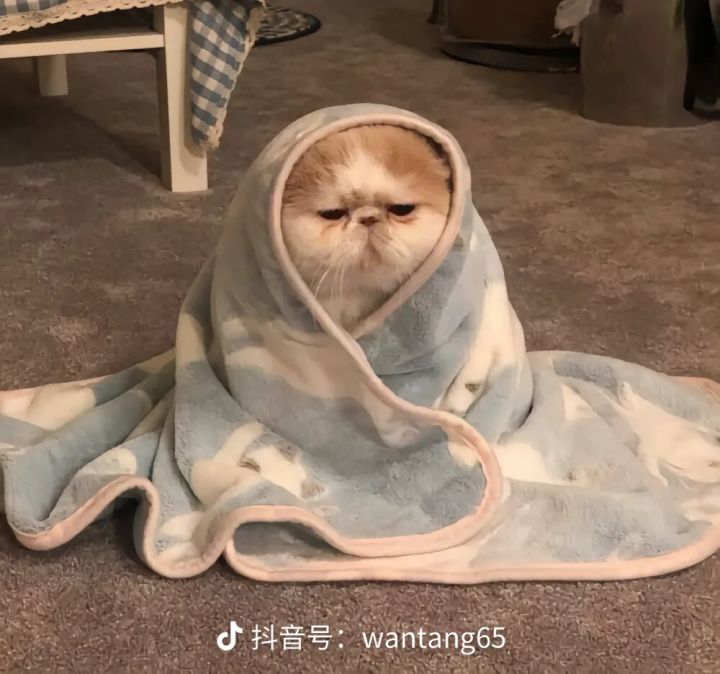 填码的十连全金截图