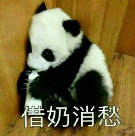新人求带截图