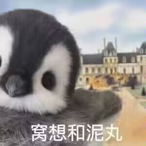 给个土罐攻略,谢谢 1
