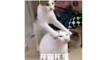 深空之眼3.6高墙上下事:目前实用通辅的总结攻略