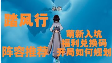 踏风行萌新开局资源规划兑换码福利阵容搭配