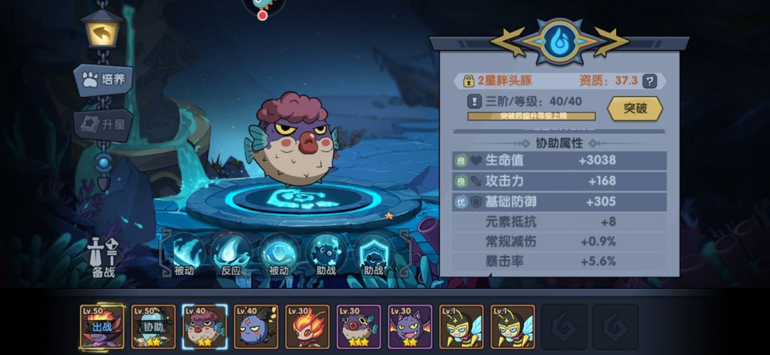 动态图片 2