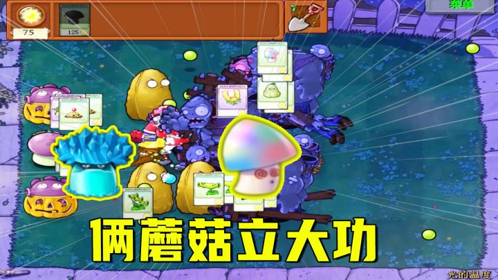 植物大战僵尸:光的温度(下)蘑菇立大功,他深知再一再二不再三截图