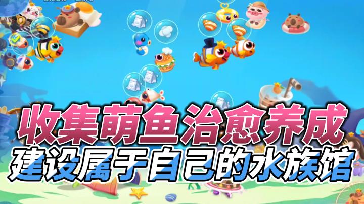 真正摸鱼🐟游戏,做水族馆馆长治愈养成截图