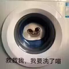 请女性玩家分享一下剧情体会