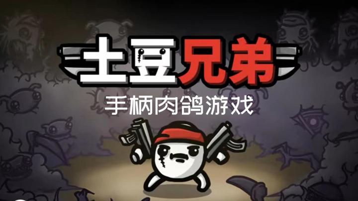 《土豆兄弟 Brotato》:Steam手柄肉鸽游戏~截图