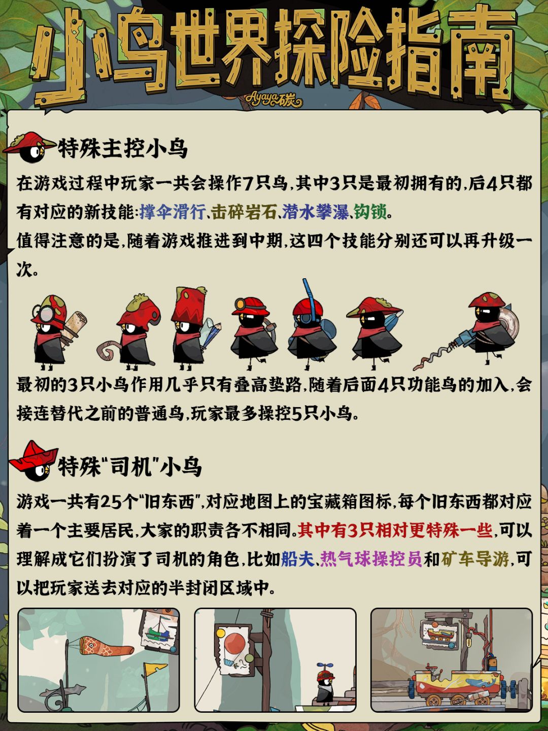 新鸟必看!《小黑鹂》小鸟世界探索指南~ 2