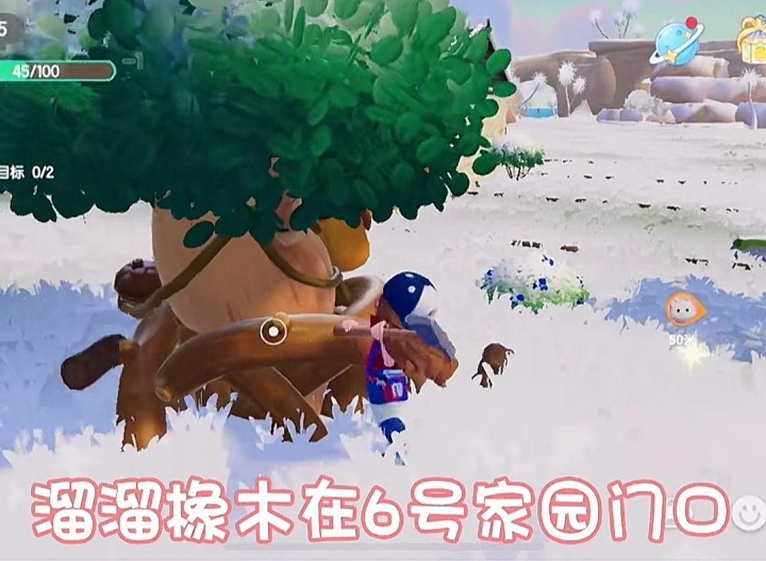 [12月26日]今天日常 3