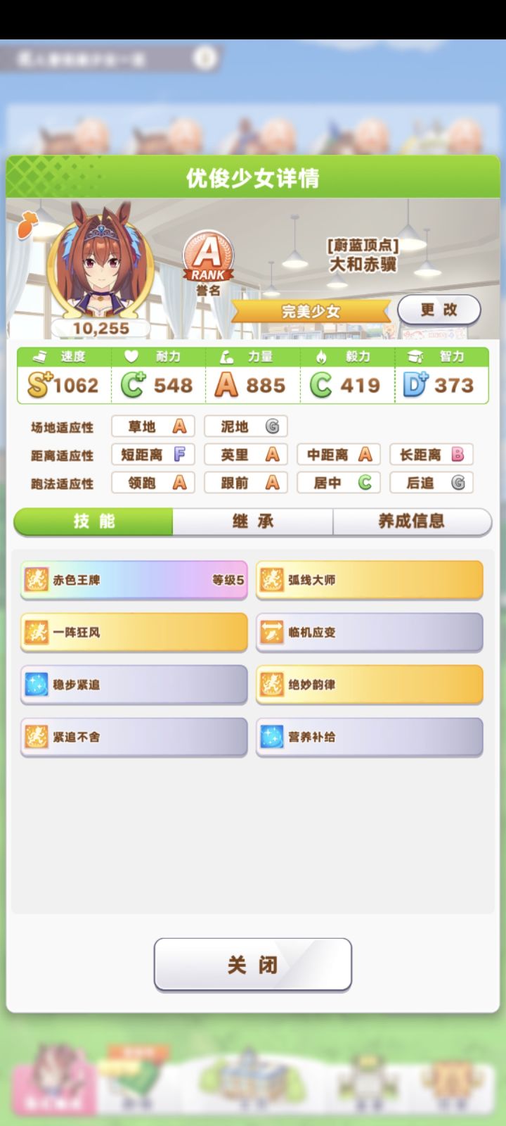 我这两个马娘养的怎么样?截图