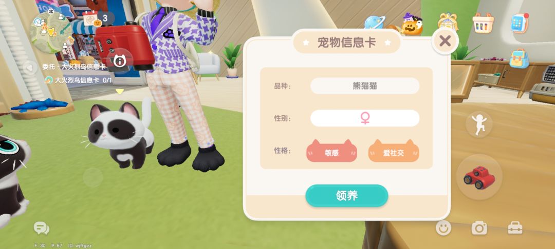 两只豆眼熊猫猫,该选哪只呢? 1