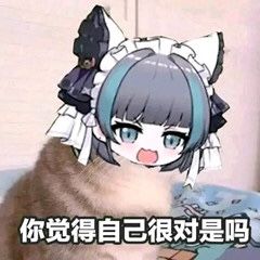 猫猫表情包2.0 2