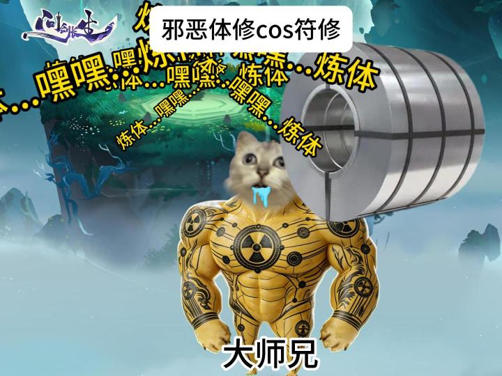 邪恶体修COS符修截图
