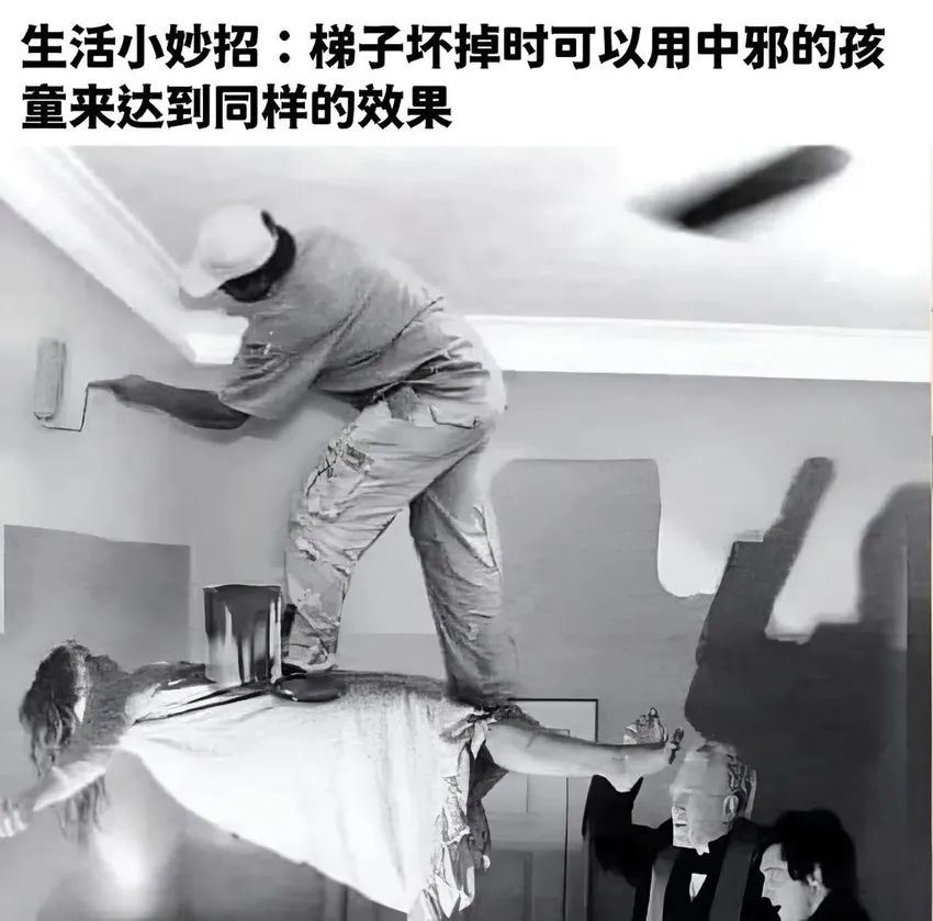 今日份梗图分享 3