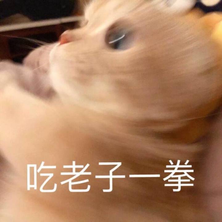 谁有QQ版的安装包,求一个截图