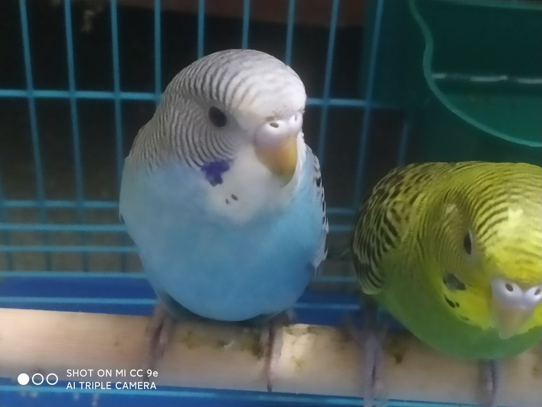 考~完~试~了~ 2